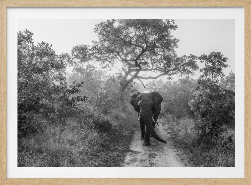 WALKING GIANT | Poster