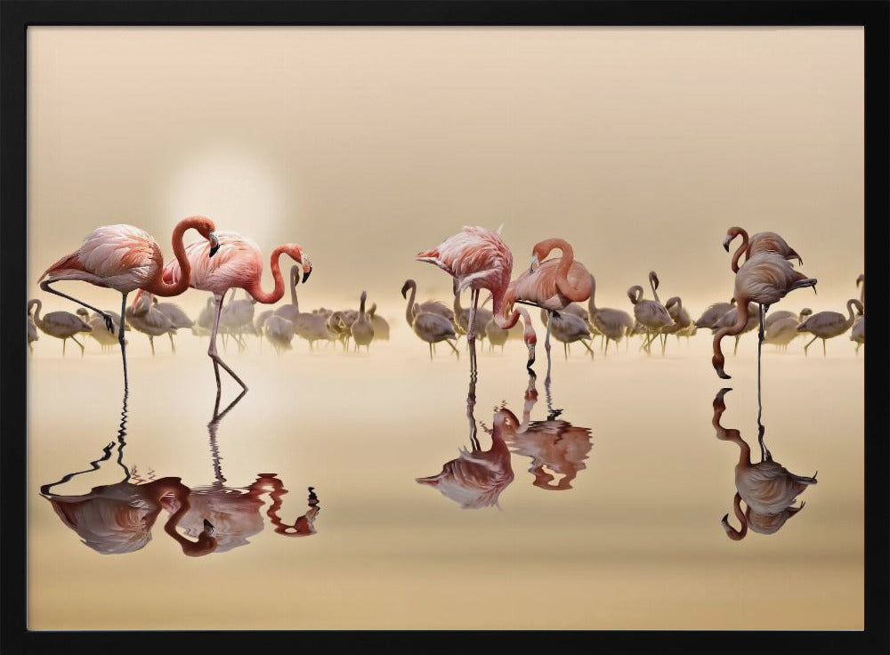 FLAMINGOS | Poster