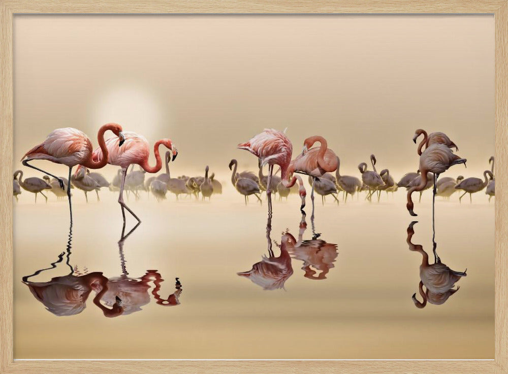 FLAMINGOS | Poster