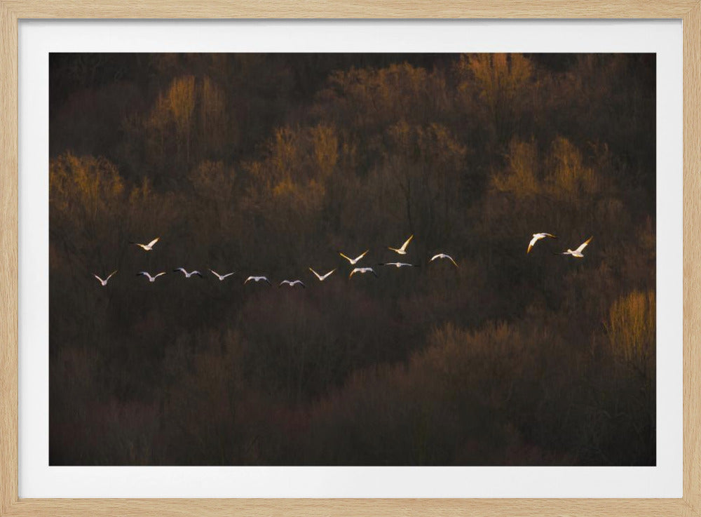 Morning Mood | Poster