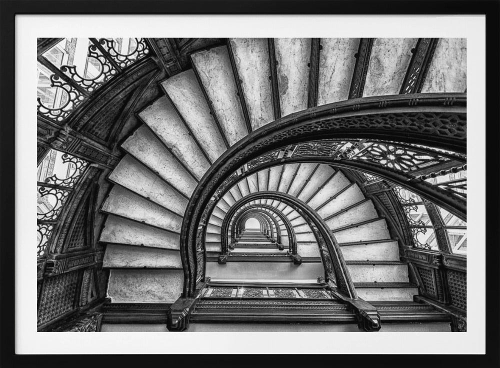 The Rookery | Poster