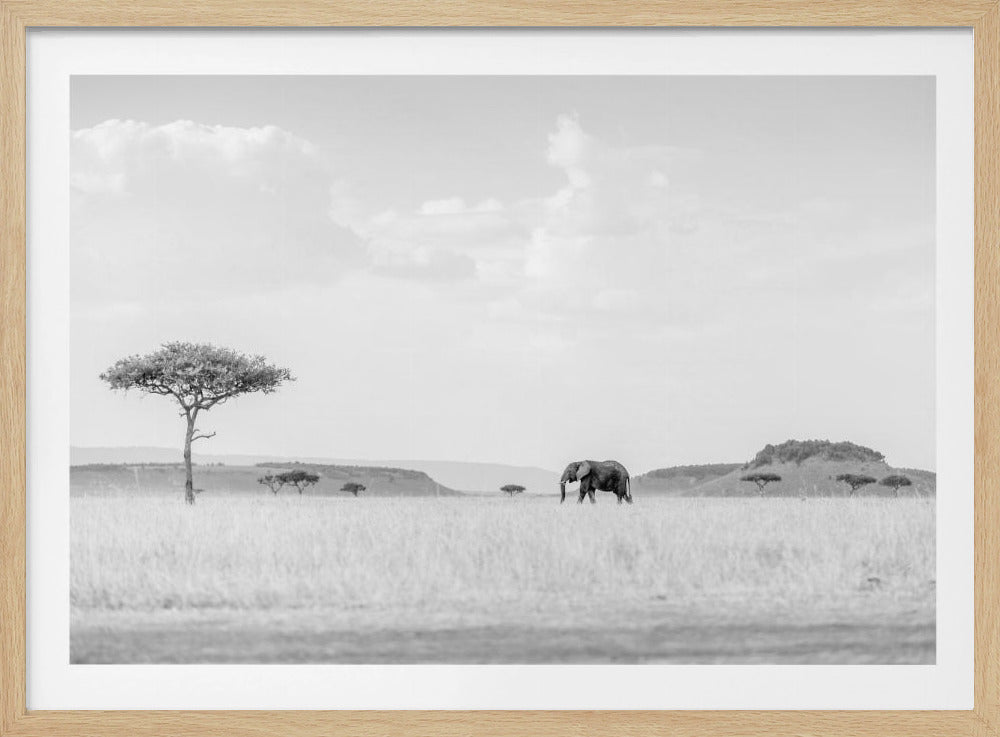 HIGH KEY SAVANNAH | Poster