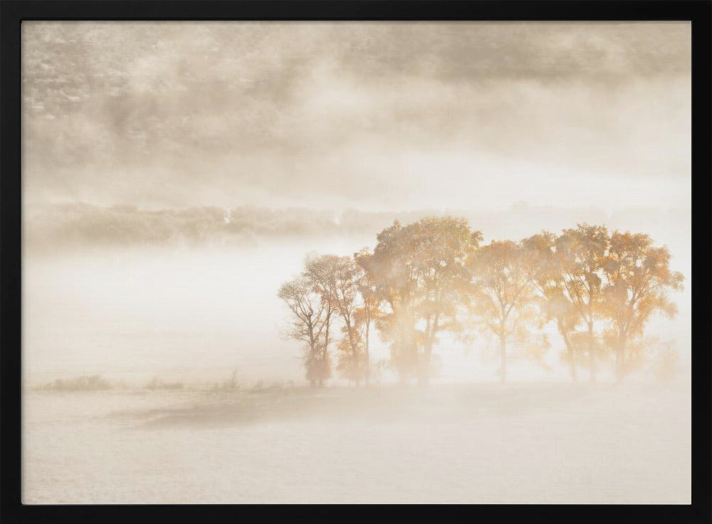 Autumn Dreams | Poster