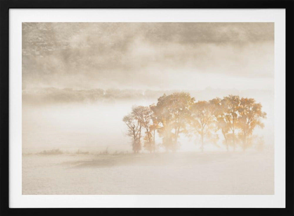 Autumn Dreams | Poster