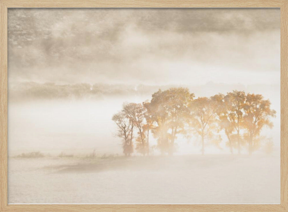 Autumn Dreams | Poster