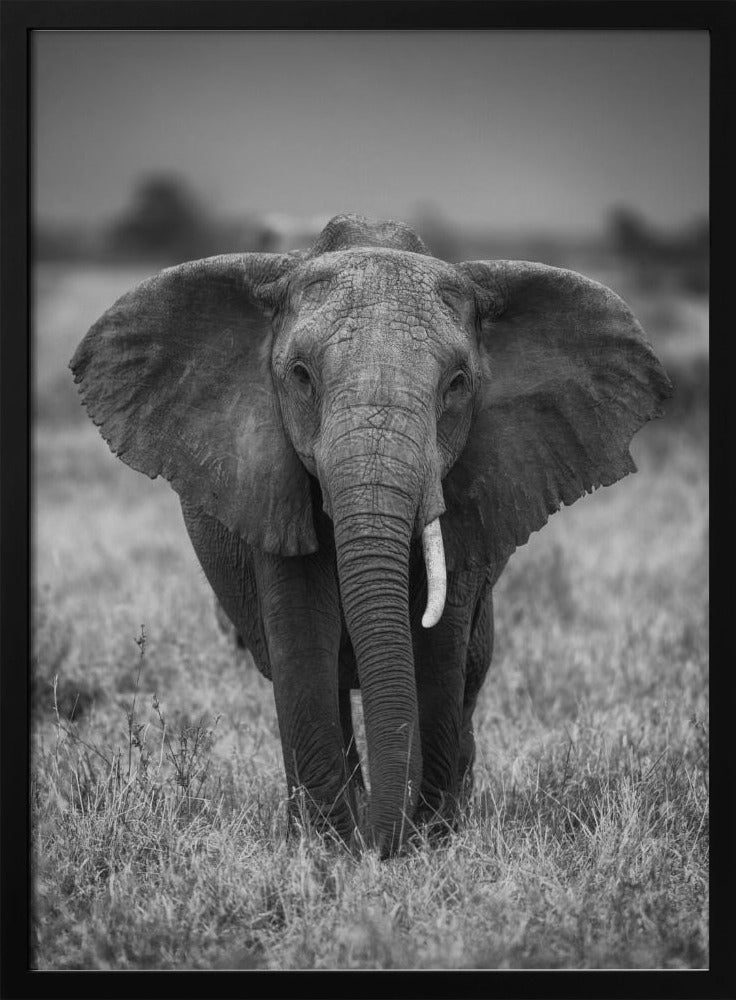 SINGULARITY | Poster