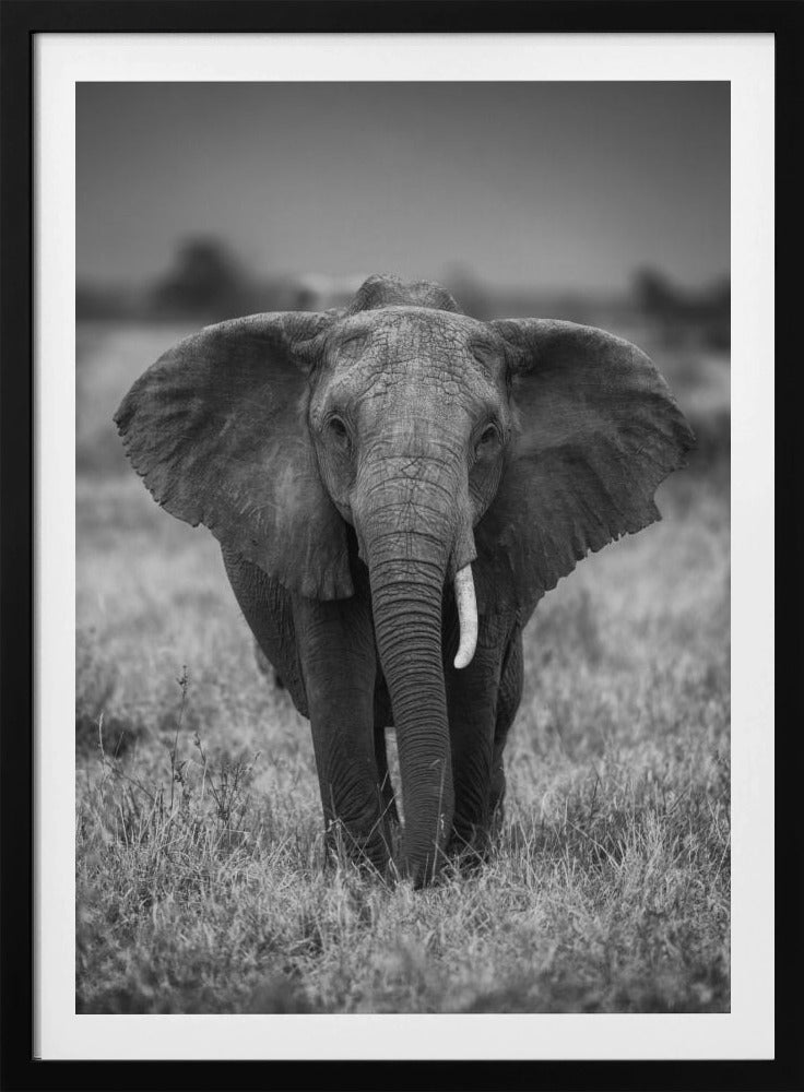 SINGULARITY | Poster