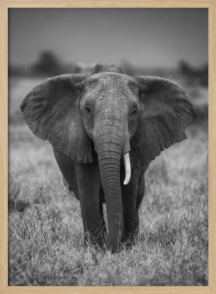 SINGULARITY | Poster