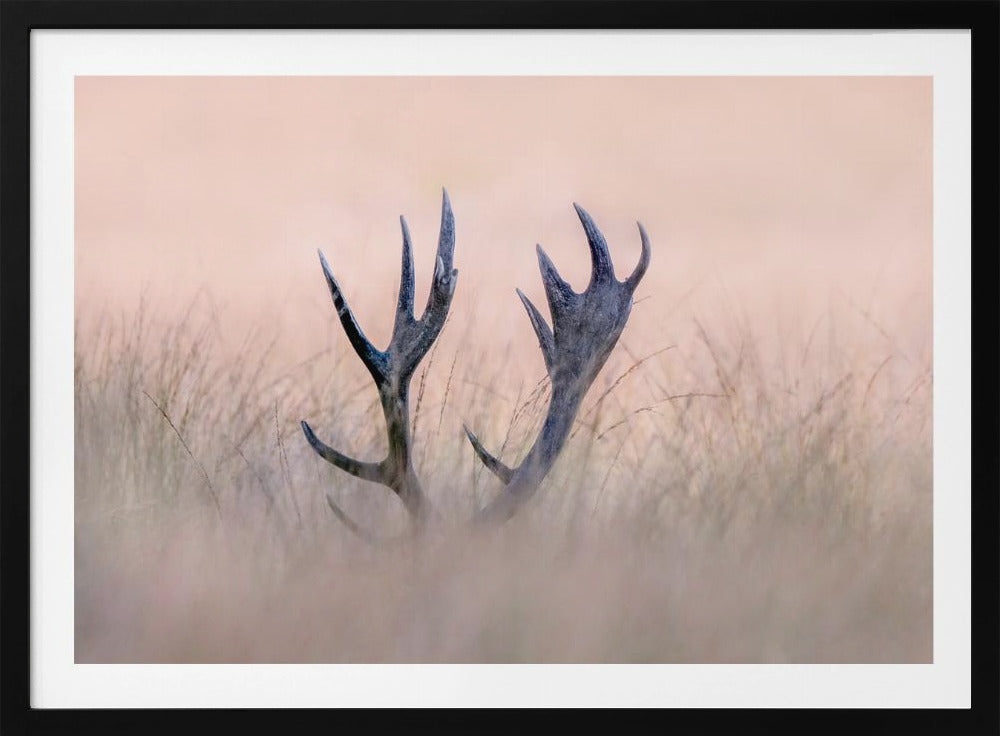 Hide &amp; Seek  ( Horn of Stag) | Poster