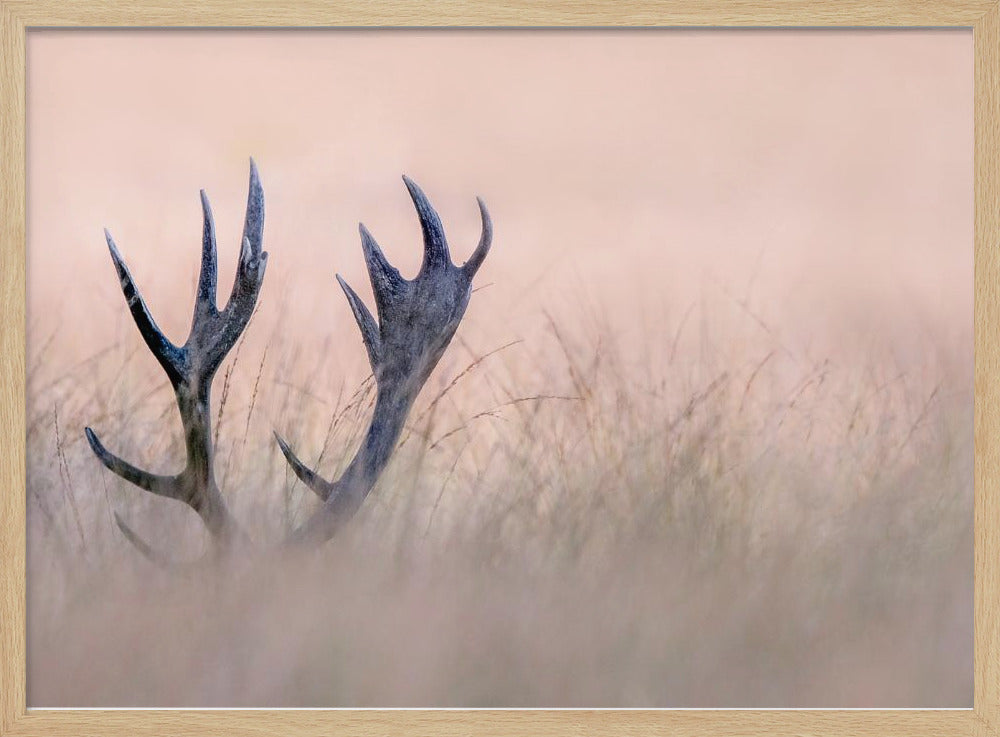 Hide &amp; Seek  ( Horn of Stag) | Poster
