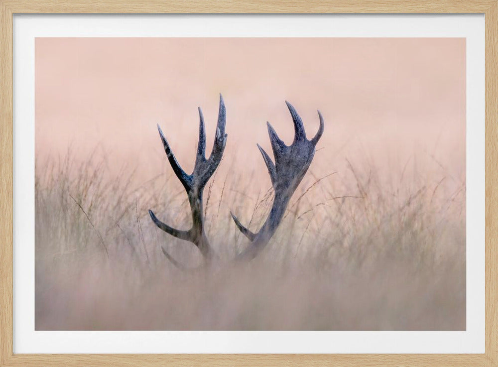 Hide &amp; Seek  ( Horn of Stag) | Poster