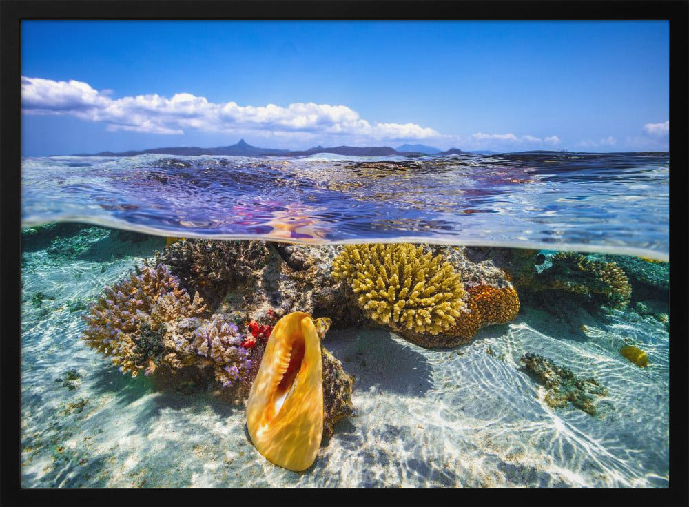 Lagoon life | Poster