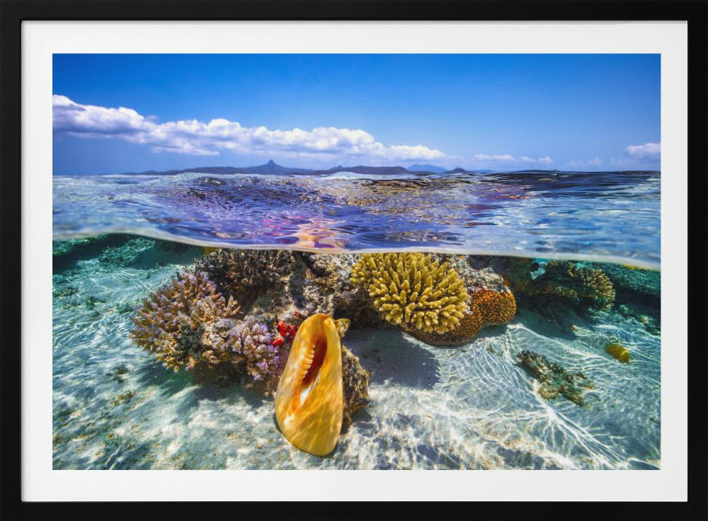 Lagoon life | Poster