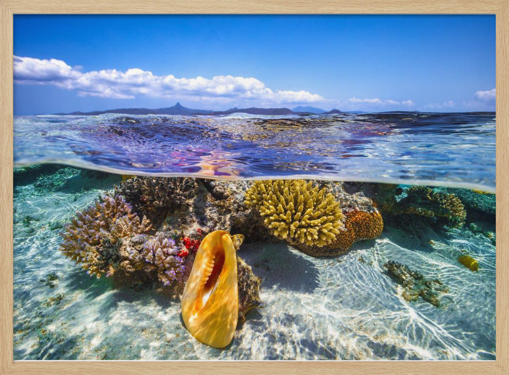 Lagoon life | Poster