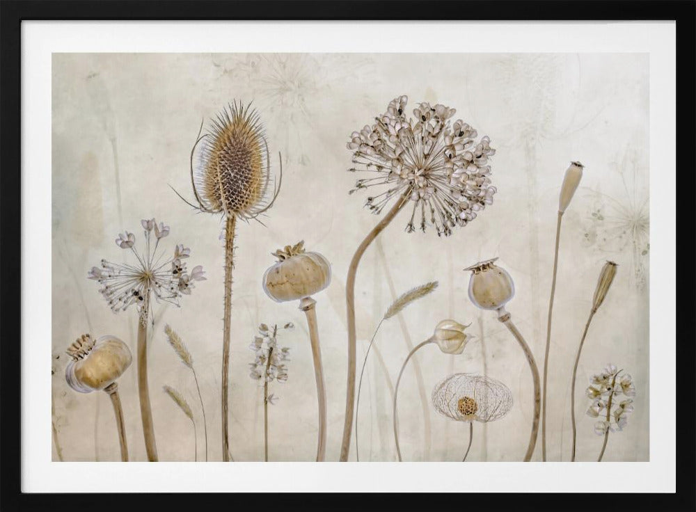 Growing old | Poster