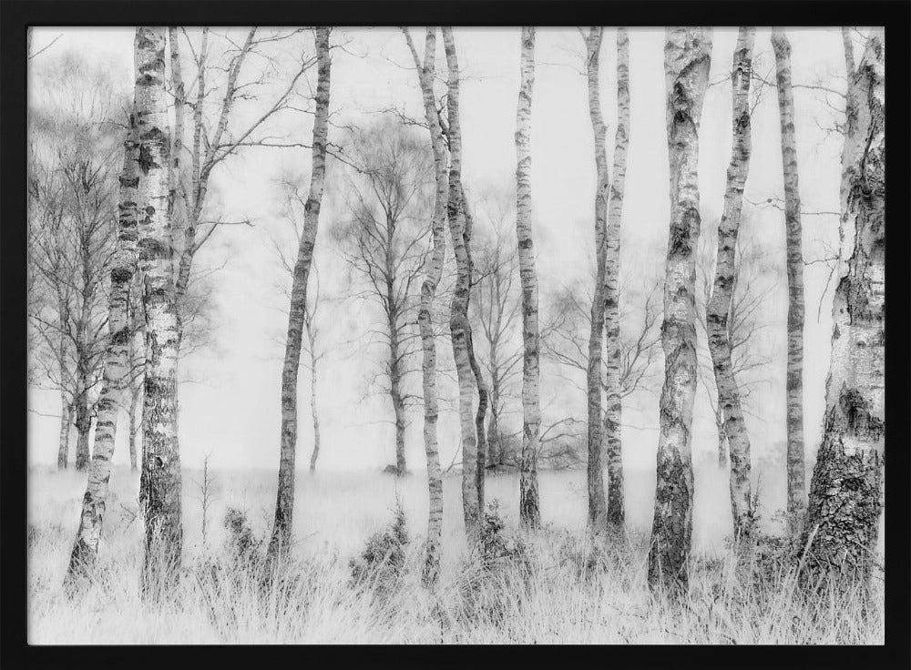 Black and white | Poster