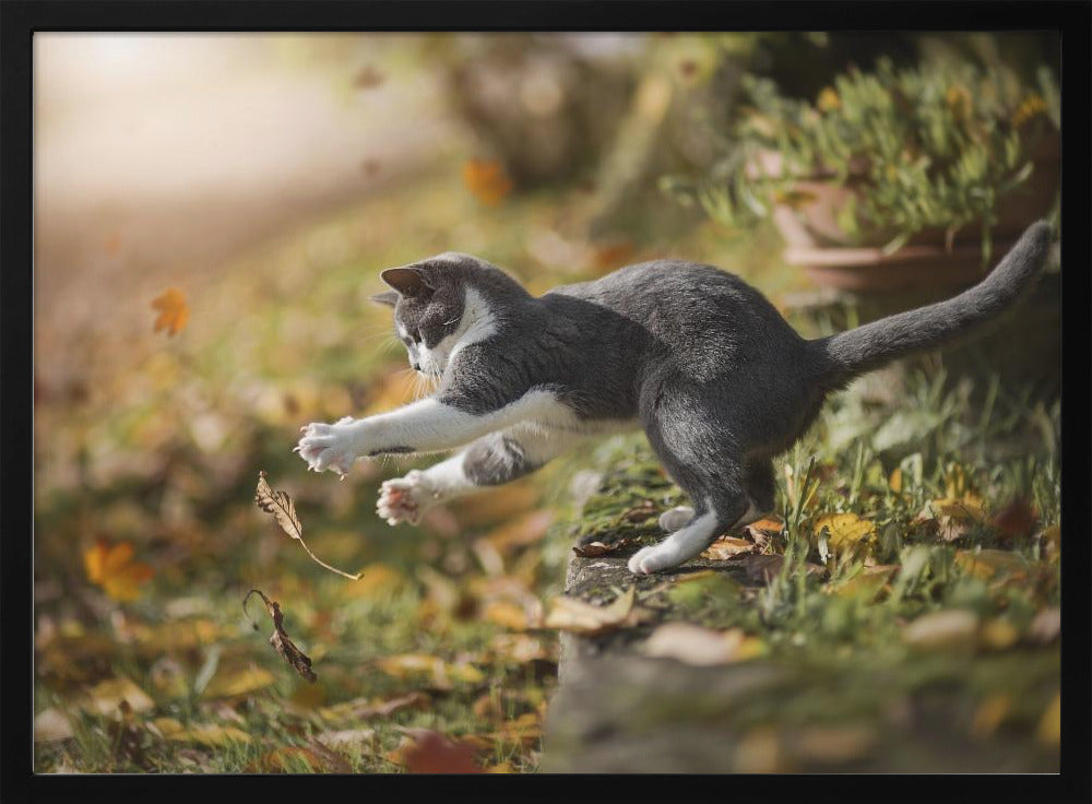 Autumn Play | Poster