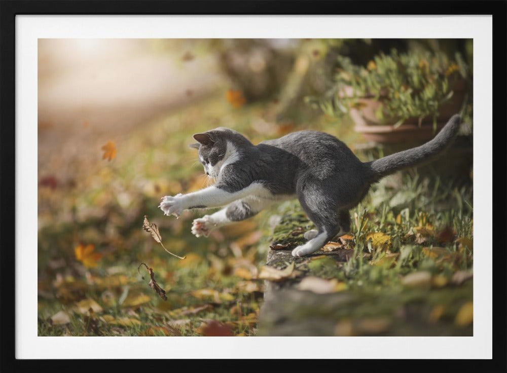 Autumn Play | Poster