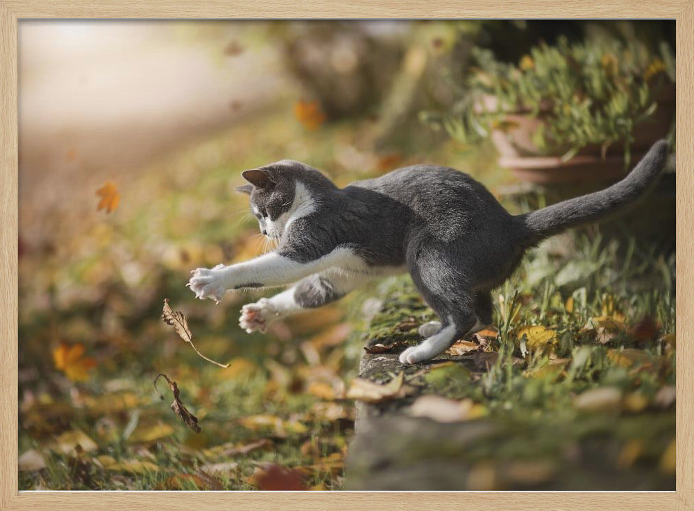 Autumn Play | Poster