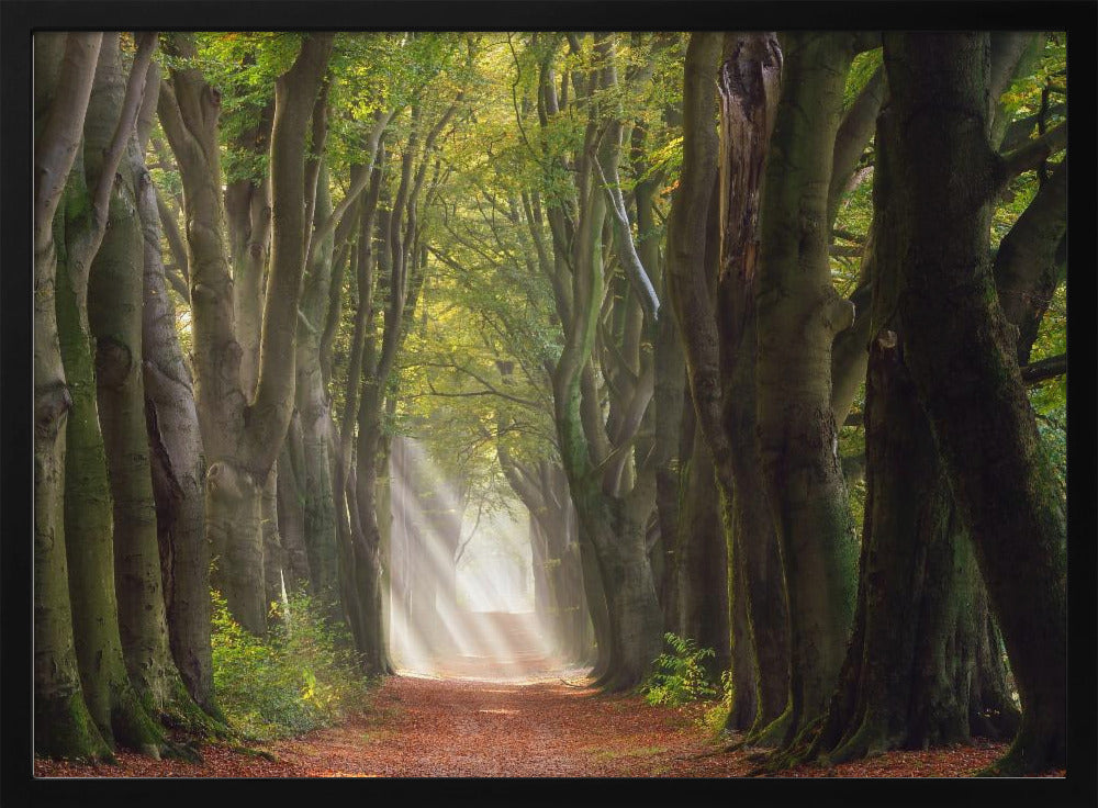 A Glorious Day | Poster