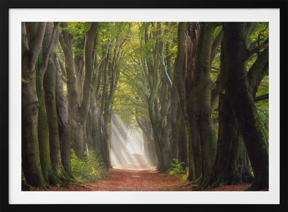 A Glorious Day | Poster