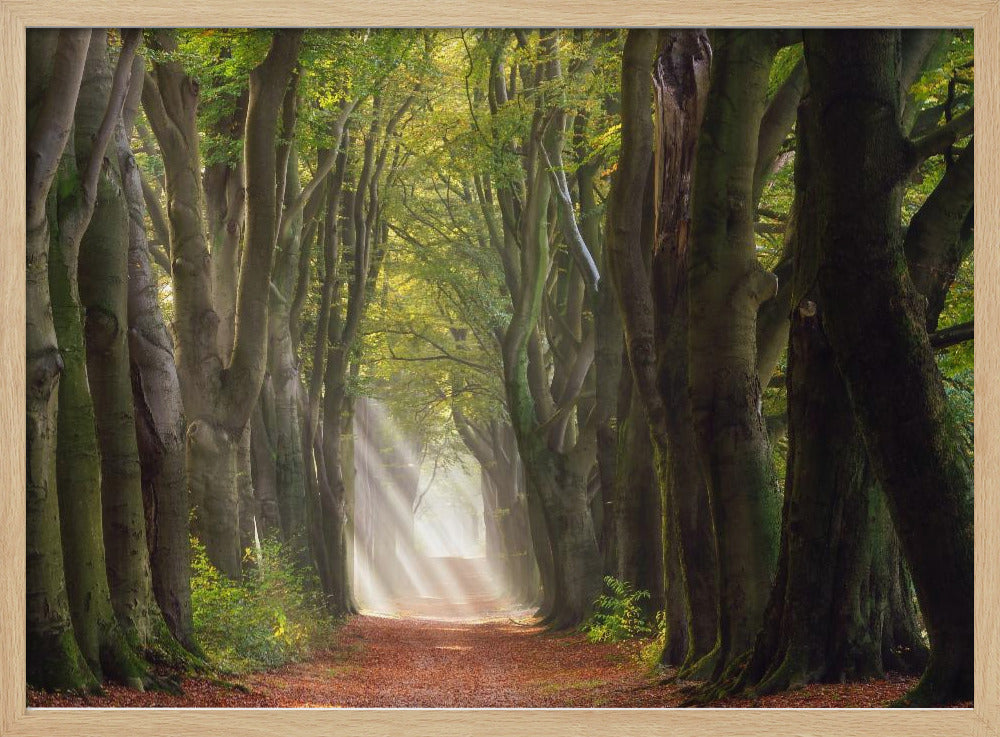 A Glorious Day | Poster