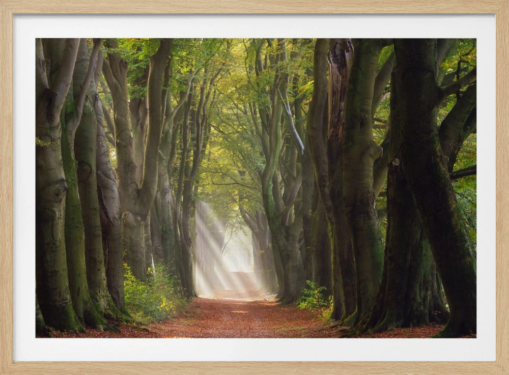 A Glorious Day | Poster