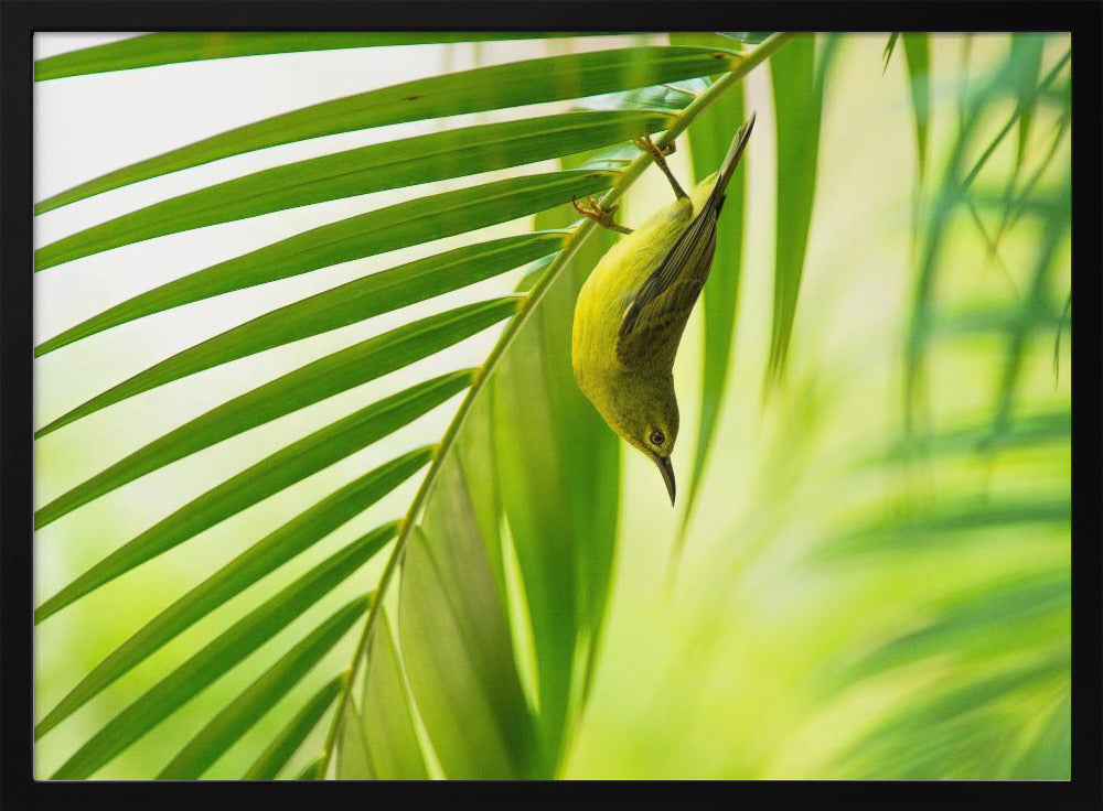 50 shades of green | Poster