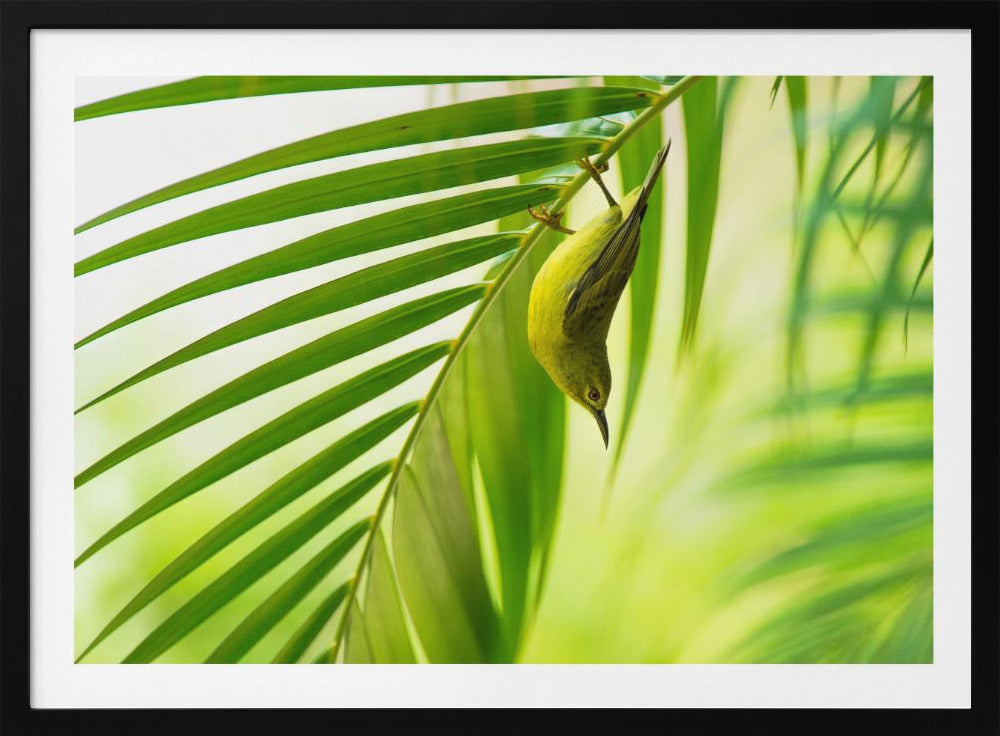 50 shades of green | Poster