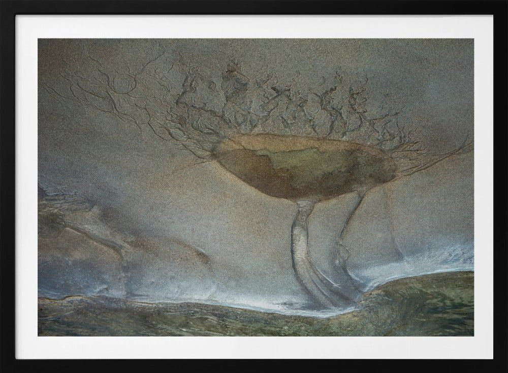 Sand flower | Poster