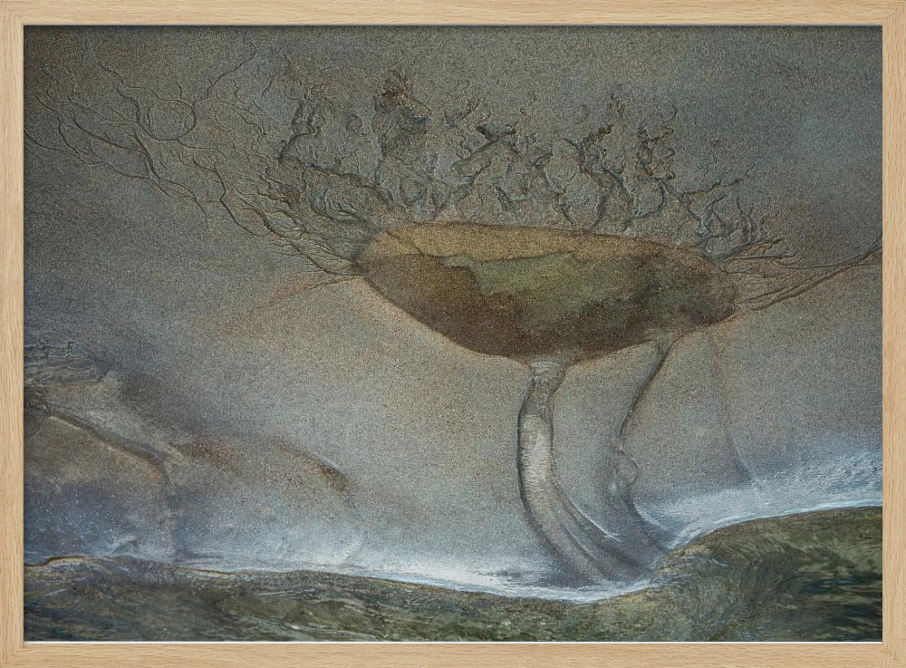 Sand flower | Poster