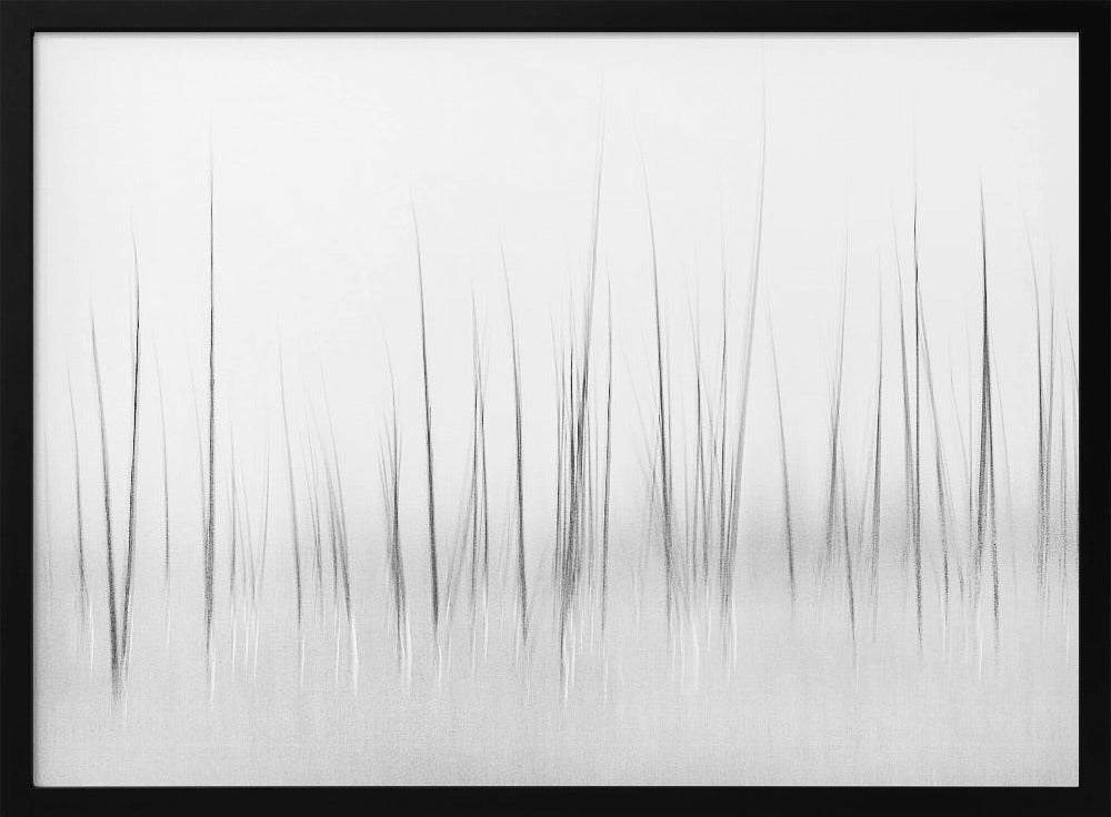 Wintry scenery in Yellowstone | Poster