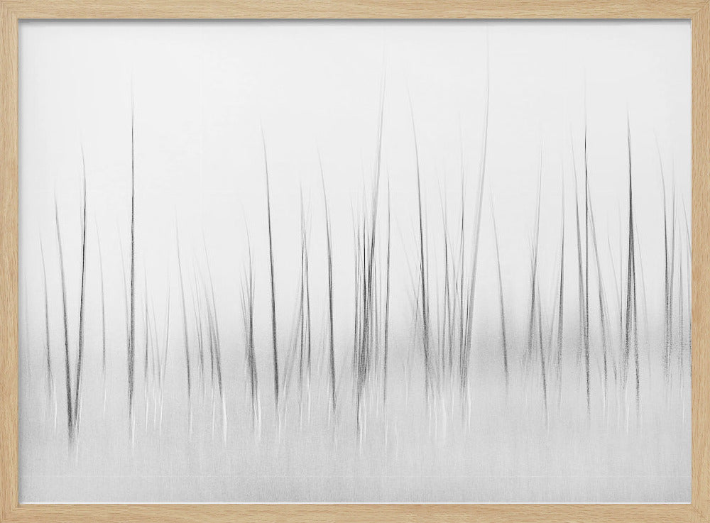 Wintry scenery in Yellowstone | Poster