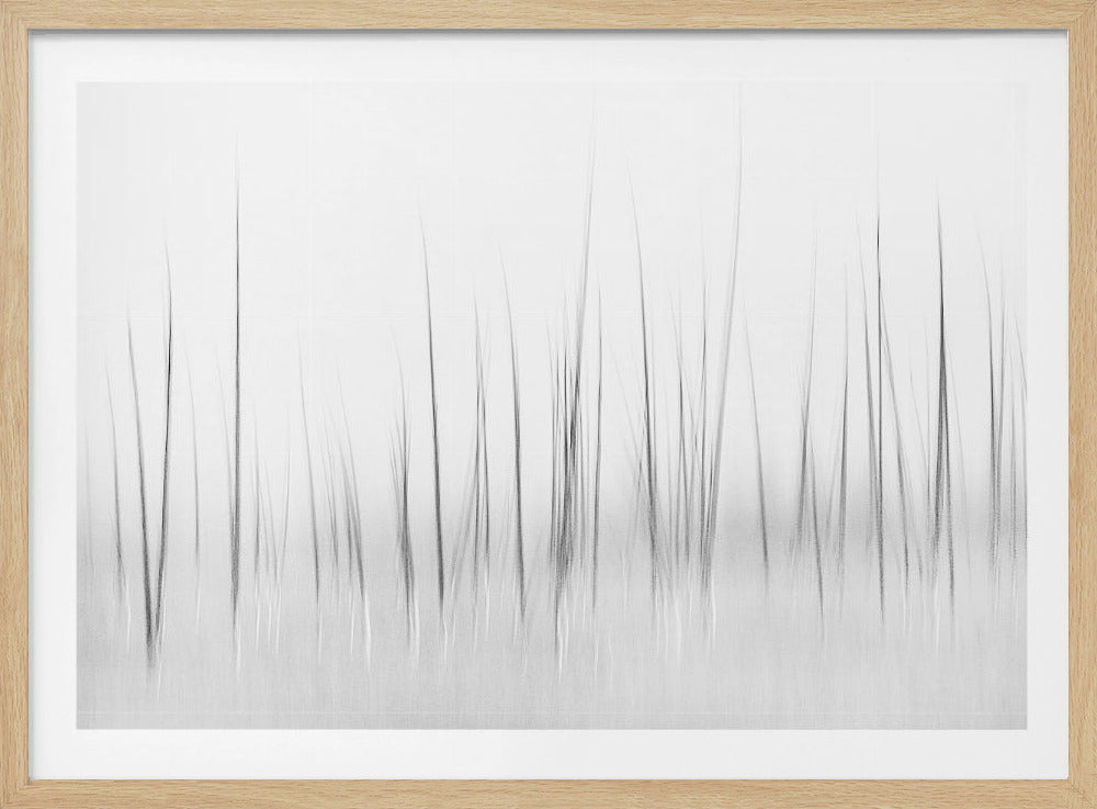 Wintry scenery in Yellowstone | Poster