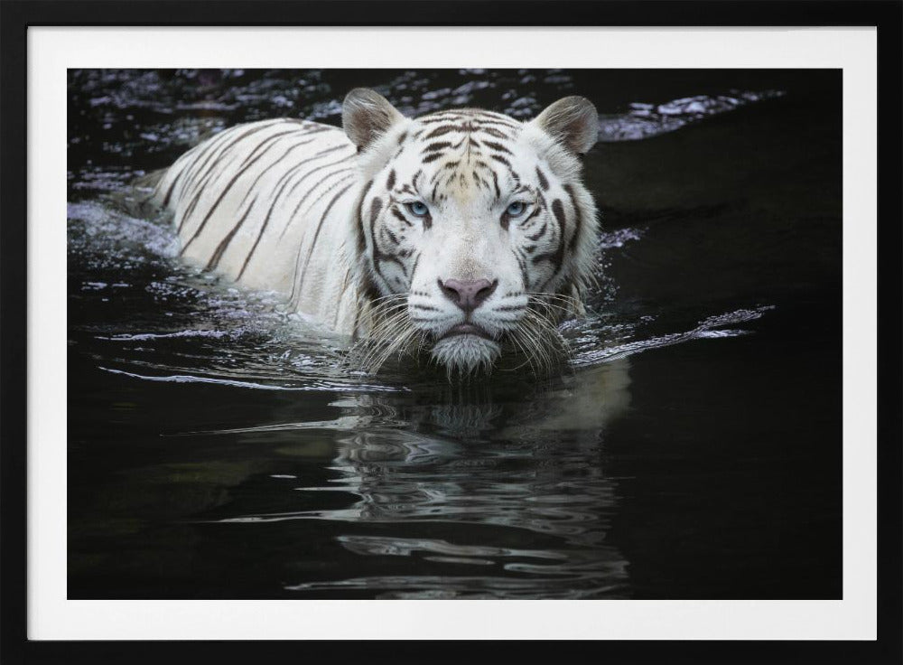 Looking at Me Looking at You | Poster