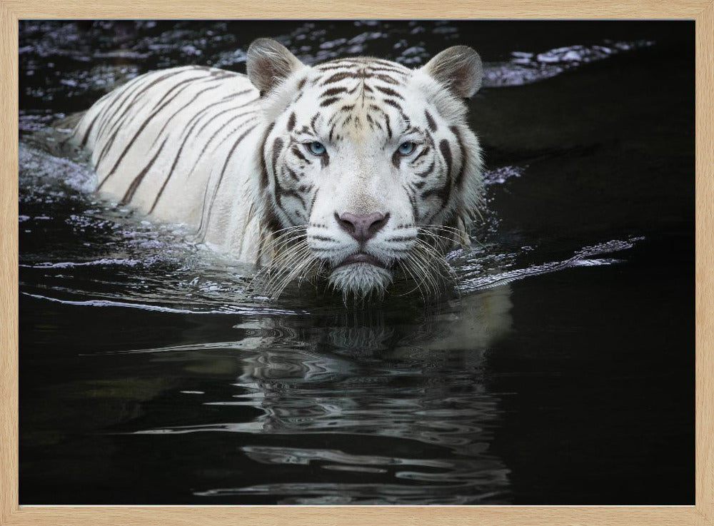 Looking at Me Looking at You | Poster