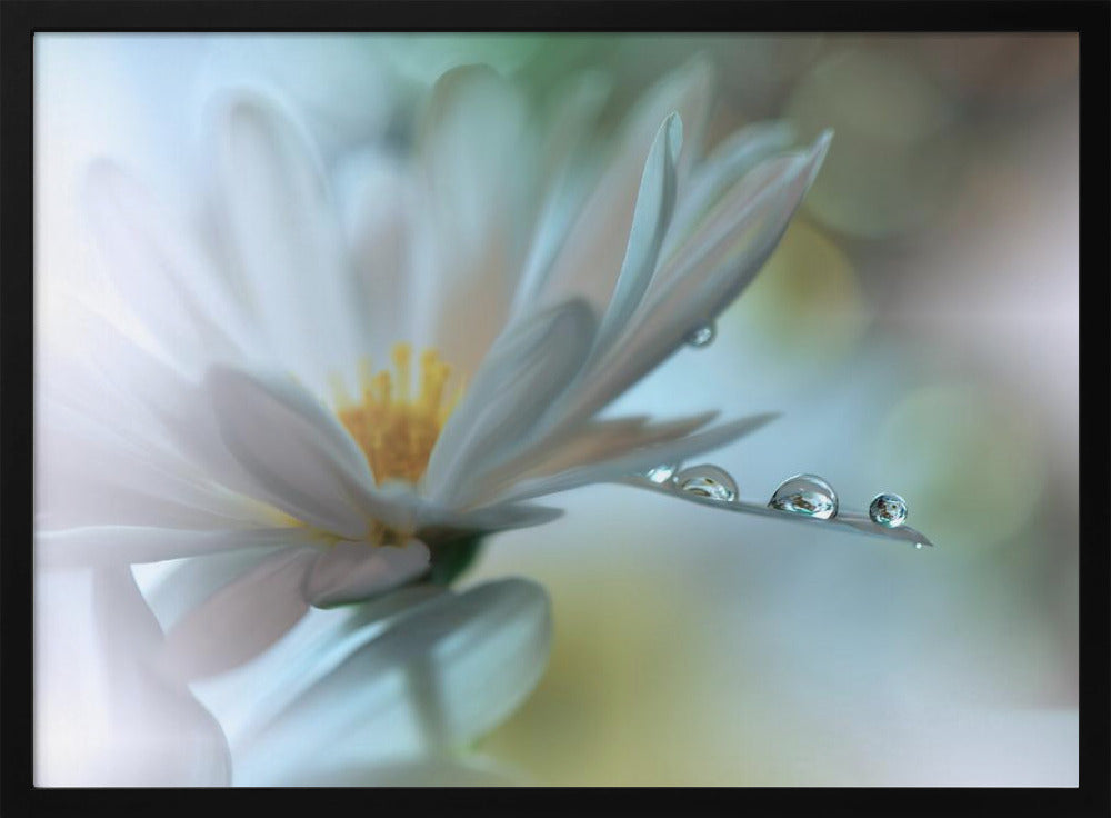 Light touch... | Poster