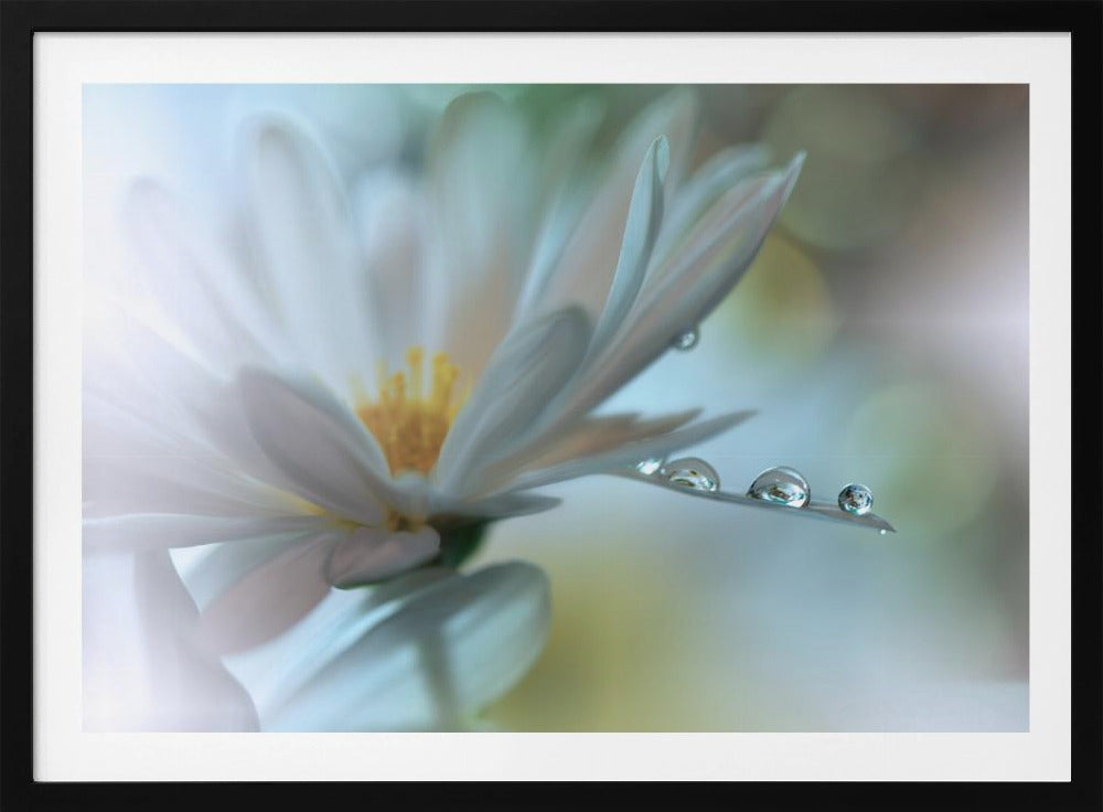 Light touch... | Poster