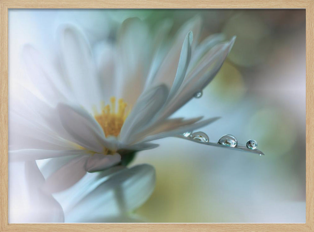 Light touch... | Poster