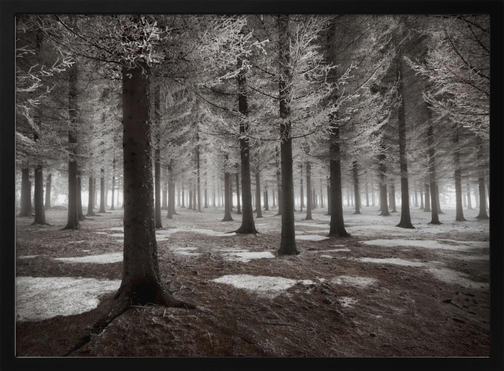 The onset of winter | Poster