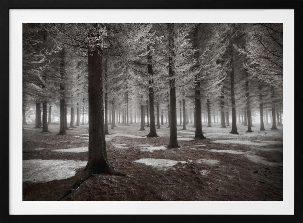 The onset of winter | Poster