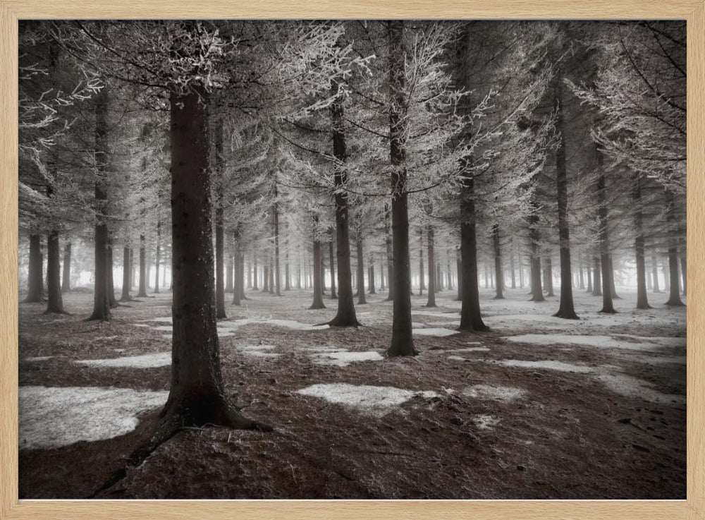 The onset of winter | Poster