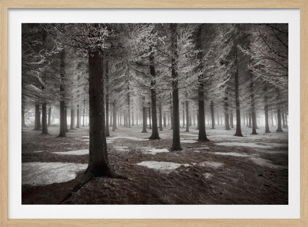 The onset of winter | Poster