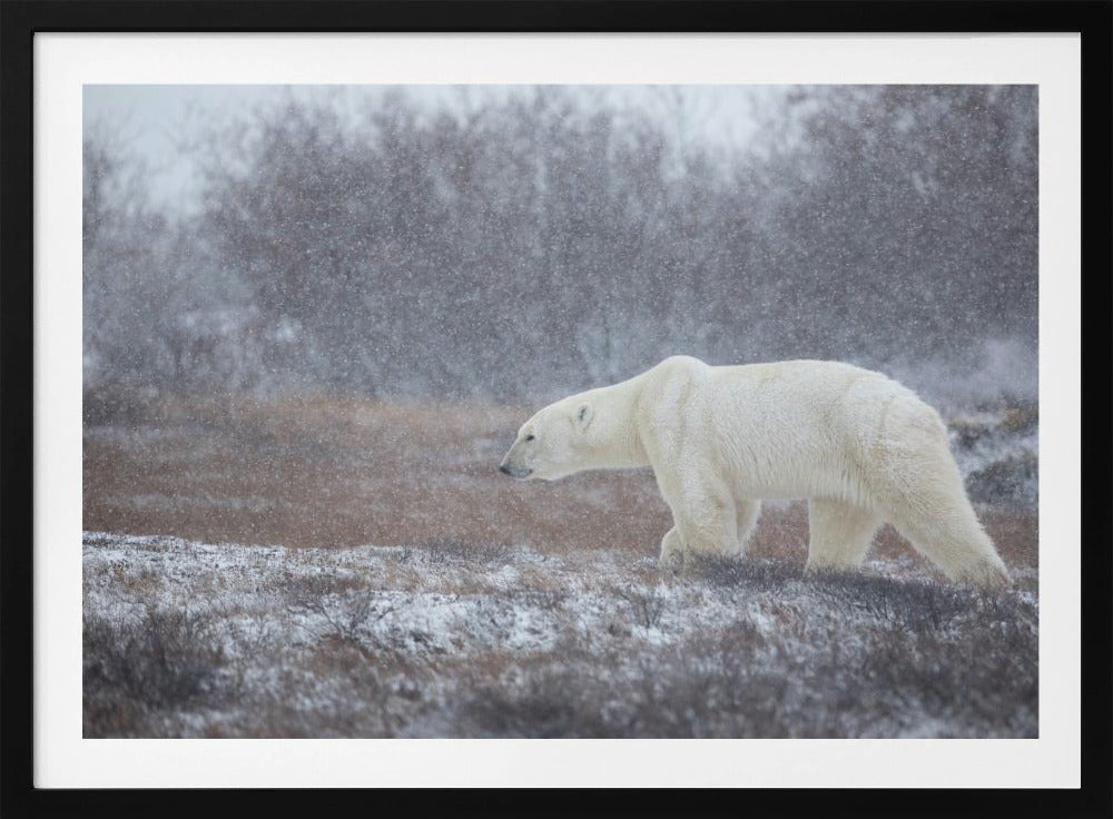 Let it Snow! | Poster