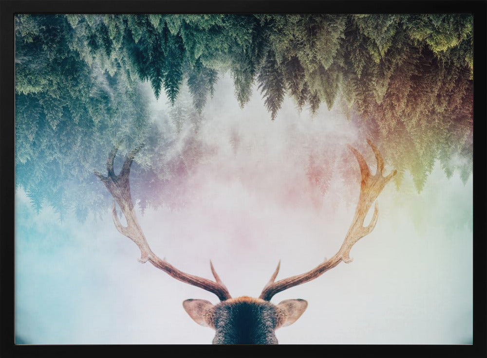 Antler | Poster