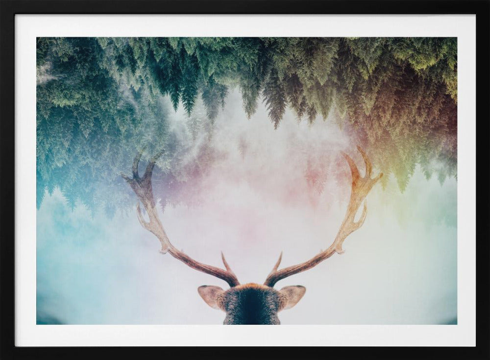 Antler | Poster