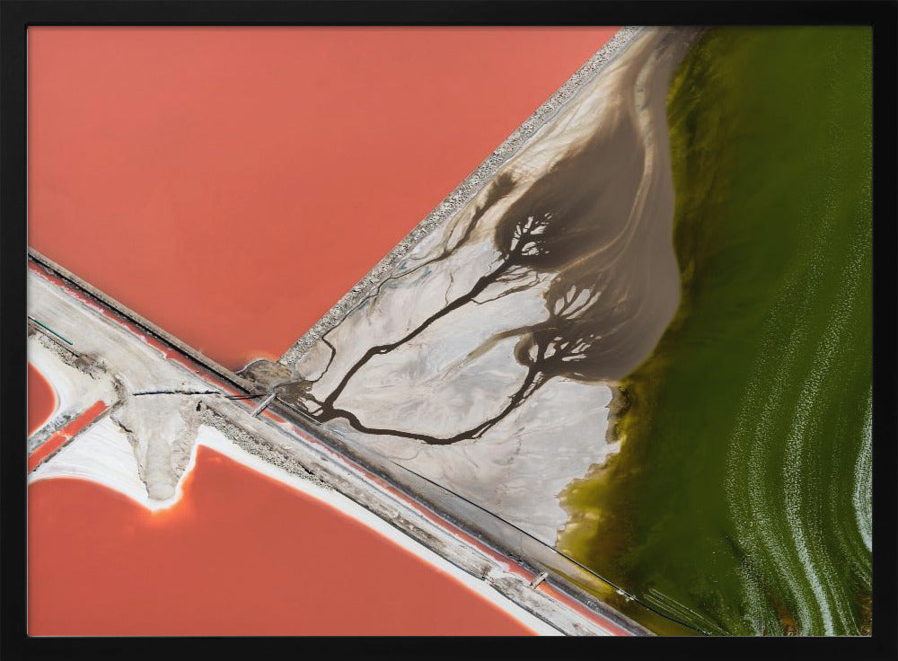 Nature's painting | Poster