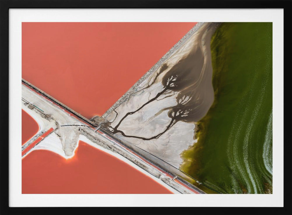 Nature's painting | Poster