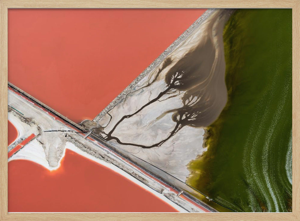 Nature's painting | Poster