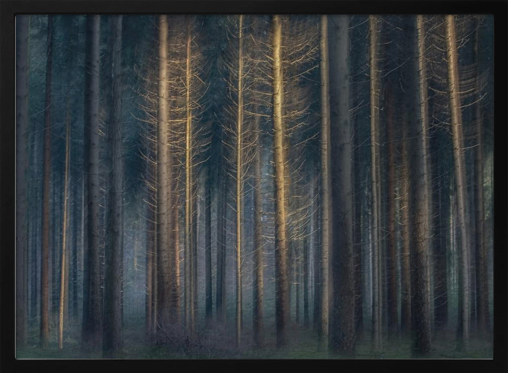 In the afternoon | Poster